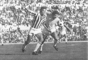 Lzjuv72b.jpg