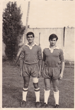 Pinna becchetti.jpg