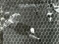 Miniatura della versione delle 21:42, 19 mar 2020