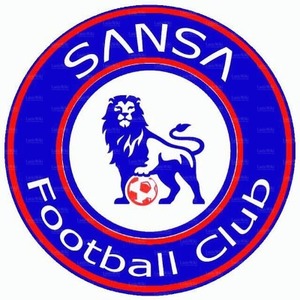 Logo C5F Sansa.jpg
